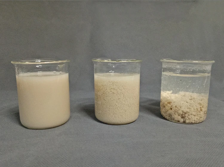 PAM Cationic Polyacrylamide Powder (2) PAM Cationic Polyacrylamide Powder (2)