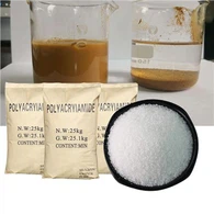 PAM katyonik anion poliakrilamid 9003-05-8