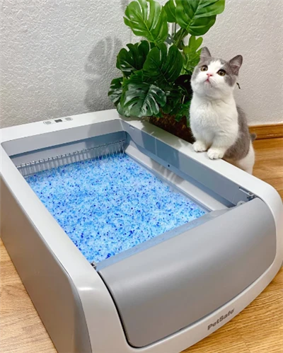 Tofu mushuk axlati bepul namunasi uy hayvonlarini tozalash vositalarining ulgurji silika jeli mushuk axlati